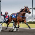 Quinté Vincennes 3 Décembre : Diva del Ronco Triomphe