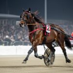 Quinté Vincennes 31 Décembre : Gold Mencourt Favori