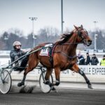 Quinté Vincennes 31 Décembre : Idylle Express Triomphe