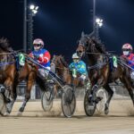 Quinté Vincennes 4 Décembre : Eros Zola Bat le Favori