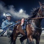 Quinté Vincennes : Abrivard sort du trou avec Just Love You ?