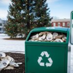 Recycler Coquilles Huîtres Essonne : Une Initiative Écolo