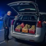 Retraités Condamnés pour 192 kg de Cannabis : Choc