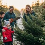 Sapins de Noël Locaux du Loiret : L’Authenticité qui Séduit