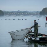 Seine : Baignade Autorisée à Paris, Pêche Interdite en Aval ?