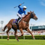 Sosie Triomphe au Hong Kong Vase 2025