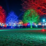 Vendée Fontenay – PSG (0-4) : Dembélé Brille en Capitaine