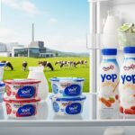 Yoplait : 60 Ans d&rsquo;Innovation dans les Produits Laitiers