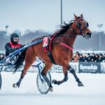 Arrivée Quinté 22 Janvier 2026 Vincennes : Janko Haufor Triomphe