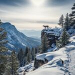 Attaque de Puma Mortelle en Colorado : Drame du Nouvel An