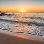 Brigitte Bardot Amoureuse Ordinaire : Témoignage Intime