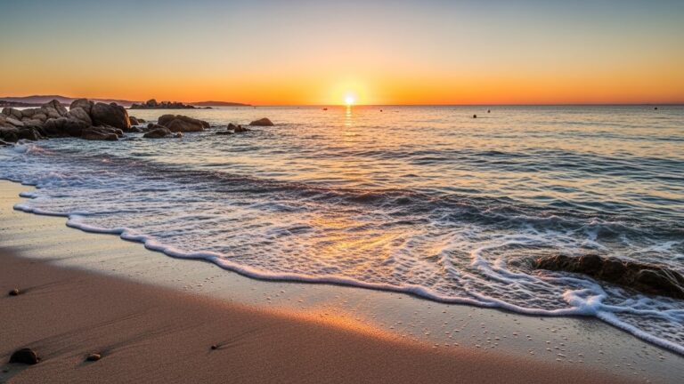 Brigitte Bardot Amoureuse Ordinaire : Témoignage Intime