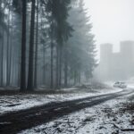 Corps de Joëlle Retrouvé en Forêt de Montmorency