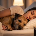 Dormir Avec Son Chien : Tabou Ou Bien-Être ?