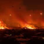 Feu de Forêt à Perth : Un Pétard du Nouvel An Déclenche le Chaos