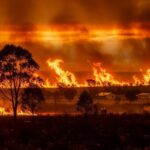 Feux de Brousse en Australie : Catastrophe Imminente