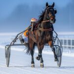 Iroise de la Noé triomphe et vise l’Amérique
