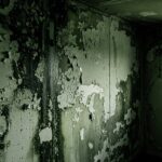 Logement Insalubre Certifié Décent à Bobigny