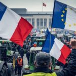 Mercosur : Les Agriculteurs Appellent à Manifester à Strasbourg