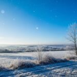 Météo Week-End Janvier 2026 : Froid Glacial et Neige