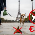 Municipales 2026 Paris : Amende 300€ pour Déjections Canines