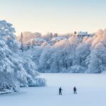 Neige en Île-de-France : Paysages Magiques et Instants Enchantés