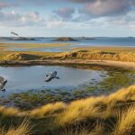 Nouvelle Réserve Naturelle à Guissény : Protection du Littoral Breton
