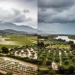 Pluie Salvatrice dans les Pyrénées-Orientales Après Sécheresse