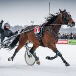 Prix de Belgique 2026 : Iroise de la Noé Gagne Encore