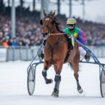 Prix de Cornulier 2026 : Jéroboam d’Erable Favori