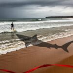 Quatrième Attaque de Requin en Australie en 48 Heures