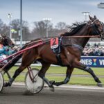 Quinté+ 15 Janvier 2026 Vincennes : Chitchat Triomphe