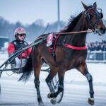 Quinté 15 Janvier 2026 Vincennes : Détermination Cédric Terry