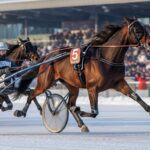 Quinté 29 Janvier 2026 : Inferno Piper Triomphe à Vincennes