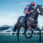 Quinté Deauville 2 Janvier : Hugo Lebouc et Schuman en Vue