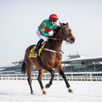 Quinté Deauville 9 Janvier : Enzo Corallo Mise sur Wootton Melody