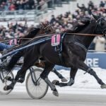 Quinté du 10 Janvier 2026 : Hubble du Vivier S’impose au Finish