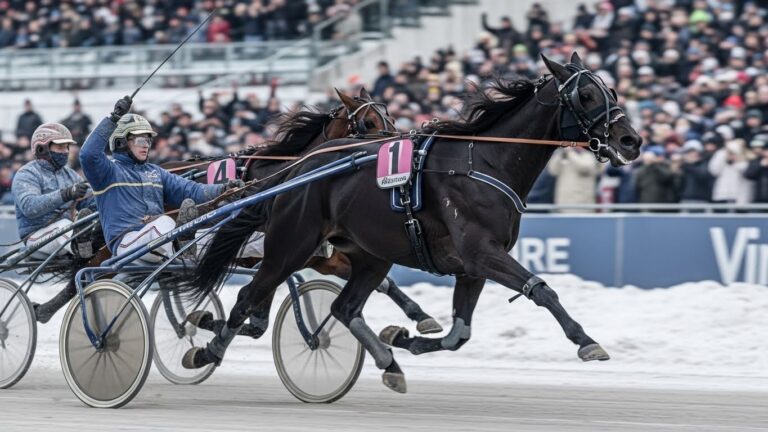 Quinté du 10 Janvier 2026 : Hubble du Vivier S’impose au Finish