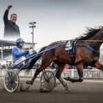 Quinté Vincennes 10 Janvier : Jingle du Pont Favori
