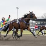Quinté Vincennes 1er Janvier 2026 : Rikita JP Triomphe