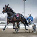 Quinté Vincennes 3 Janvier : Caviar From Mine Triomphe