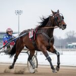 Quinté Vincennes 4 Janvier : Cobra Killer Gar Triomphe