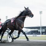 Quinté Vincennes 4 Janvier : Harmony du Rabutin Prête ?