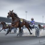 Quinté Vincennes 5 Janvier : Joy Jénilou Triomphe