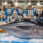 Record Mondial : Un Thon Rouge Vendu 2,8 Millions d'Euros à Tokyo