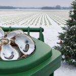 Recyclage Coquilles Huîtres Essonne : Plus d&rsquo;une Tonne Collectée