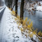 Sel de Déneigement : La Menace Invisible pour l&rsquo;Environnement