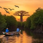 Sénégal Sine Saloum : Nature Majestueuse et Oiseaux