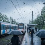 Tempête Goretti : RER A Paralysé par Chutes d'Arbres