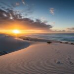 Tragédie à K&rsquo;gari : une Canadienne de 19 ans retrouvée morte entourée de dingos